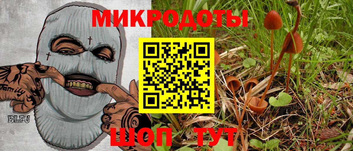 Фролово  купить закладку  Вход с VPN  Псилоцибиновые грибы мухоморы  Галлюциногенные грибы Magic Shrooms 